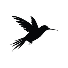 Obraz premium Hummingbird black silhouette isolated on white background