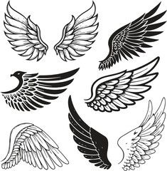 Wings Icons Set – Black Vector Silhouettes for Web Design on White Background