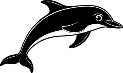 dolphin isolated on white background
