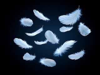 Obraz premium Floating feathers on dark background