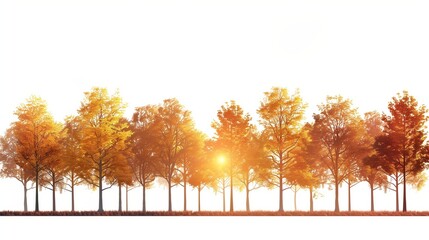 A warm autumn sunrise clipart casting golden hues over a row of trees, isolated on white.