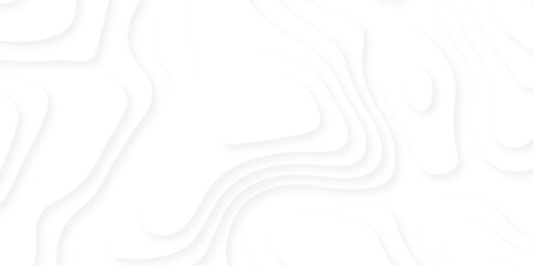 Abstract white paper cut background with lines. Background of the topographic map. White wave paper curved reliefs abstract background. Realistic papercut decoration textured with wavy layers.