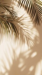 Fototapeta premium Palm frond shadows on a beige wall
