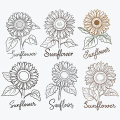 Flower SVG files, Floral svg file, Flower cut files, Flower Bouquet svg file, Floral Bouquet, Sunflower svg file, Botanical Illustration