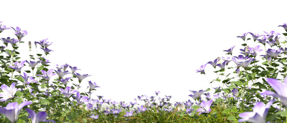 Flowers bushes full ornamental foreground isolate on transparent backgrounds 3d render png