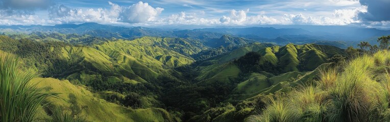 Fototapeta premium Lush green hills under a bright sky