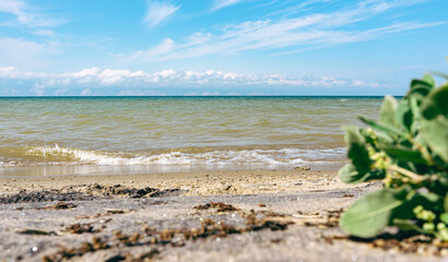 Baikal lake sandy coast