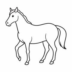 Obraz premium Horse vector and illustration.