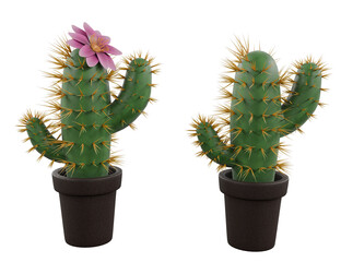 stylized cactus isolated on white