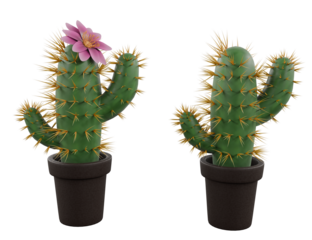 stylized cactus isolated on white