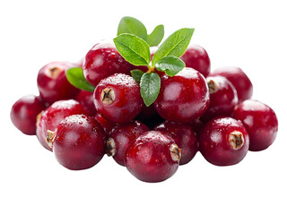 Fresh cranberries with green leaves