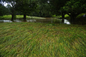 Flooding in South East Queensland