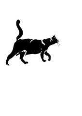a silhouette of a cat walking