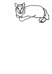 simple one line illustration of a cat - sitting in one line art