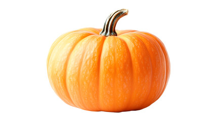 Obraz premium A large orange pumpkin with a stem