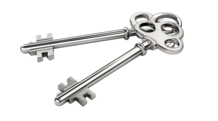 Unlocking Potential: A pair of antique keys, symbolic of access, security, and opportunity, are artfully arranged, inviting contemplation of hidden doors and new beginnings. 