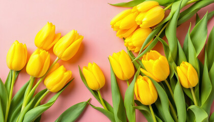 Yellow tulips on blank background HD image. Happiness is like a tulip, bright and fleeting proverb image