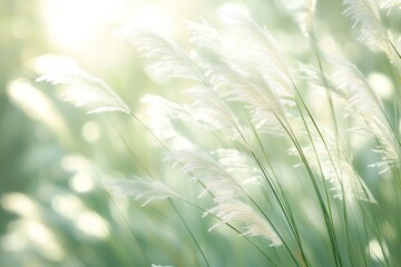 Tall grass dances softly as the wind flows through it, illuminated by warm sunlight, creating a peaceful atmosphere in nature