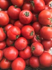 Basket of fresh tomatoes