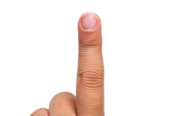 Closeup of a Human Index Finger Showing Skin Texture and Nail Detail isolated on white or transparent background Generative AI