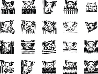 Fototapeta premium Peeking Pig Head