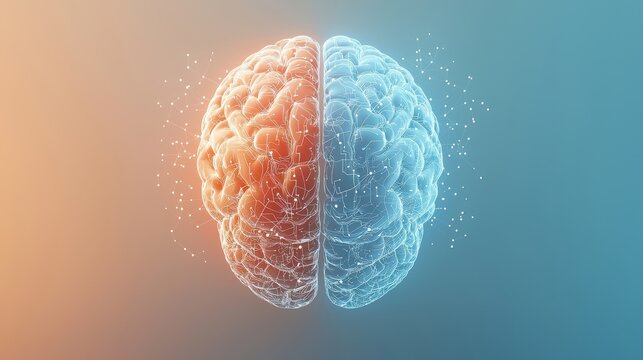 Human brain visualization transitioning from anatomy to circuit patterns