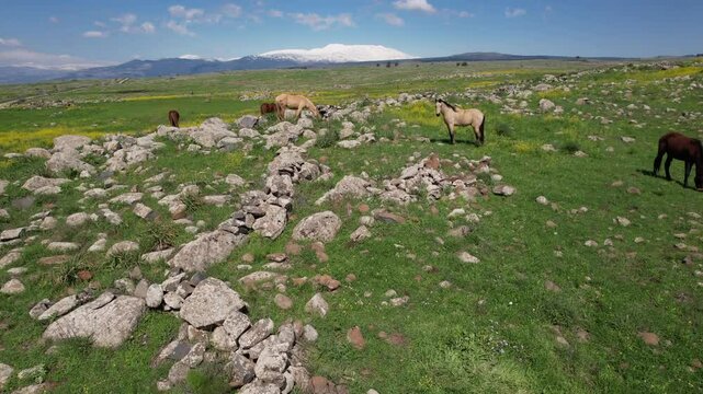 Aerial video over the beautiful landscapes in northern Israel, the Golan Heights
