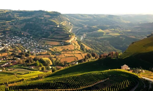 Beautiful Nature Landscape from Douro Valley Portugal Aerial View
