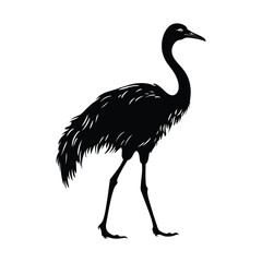 Obraz premium Ostrich a simple minimal black silhouette