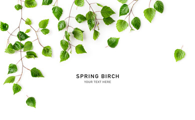 Birch tree branch with fresh green leaves frame border photography. Creative layout. Young spring sprout of birch isolated on white background. Top view, flat lay. Design element.