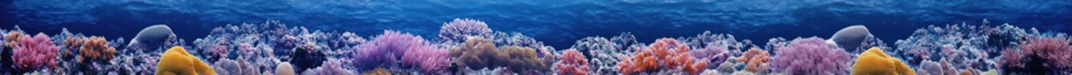 Vibrant coral reef ecosystem teeming with aquatic life in deep ocean water