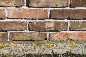 Mauer aus gelb-roten Ziegelsteinen mit Flechten