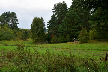 A view of a vast meadow, pastureland, or farmland surrounded with moors, forests, and other flora, as well as with a remnant of a clay oven located between the shrubs seen in Poland in summer