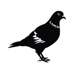 Obraz premium Pigeon silhouette vector flat graphic illustration