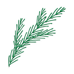 3d spruce branch clipart Twig of coniferous tree Christmas and winter design element