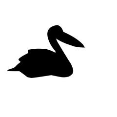 Pelican Bird Silhouette 