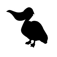 Pelican Bird Silhouette 