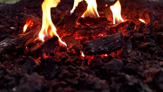 Blazing Horizons: The Impact of Wildfires