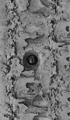 Pattern of Cured Concrete with Small Gravel Inclusions and Hole for Fasteners and Steel Reinforcement. Concrete Wall and Ceiling Technology Stock Image
