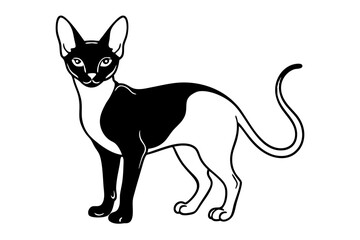 Sphynx Cat silhouette vector illustration
