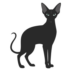 Sphynx Cat silhouette vector illustration