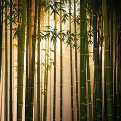 bamboo forest background