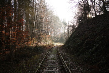 railway in the morning fog