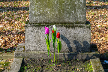 artificial colorful tulips on an old abandoned and neglected grave in the forest