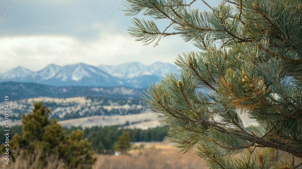 Poster a view of coniferous branches swaying gently in the breeze, with a distant mountain range in the bac
