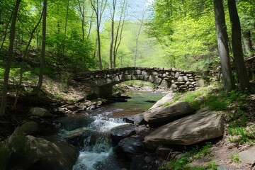 Obraz premium Stone bridge arches over a stream in a verdant, sun-dappled forest
