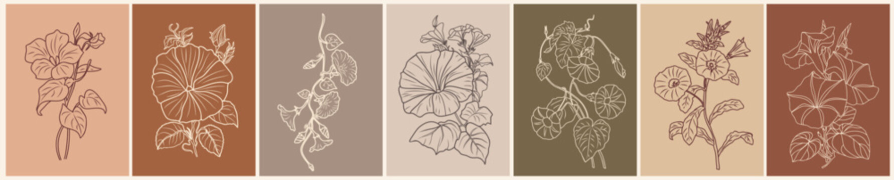 Set of botanical line art drawings of autumn September birth month flowers, Morning glory, Petunia. Vector sketch isolated on terracotta colors backgrounds. Card, wall art, poster template.