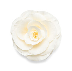 Beautiful paper flower isolated on white, top view