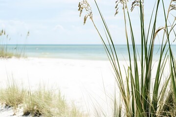 Tranquil beach view with white sand and peaceful blue ocean backdrop