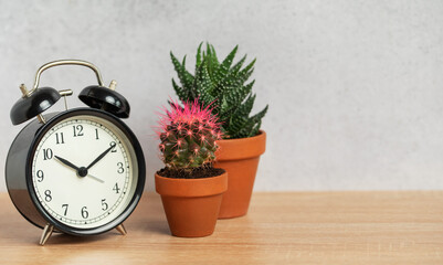 Black alarm clock showing nine o'clock with cactus and succulents in terracotta pots on wooden table